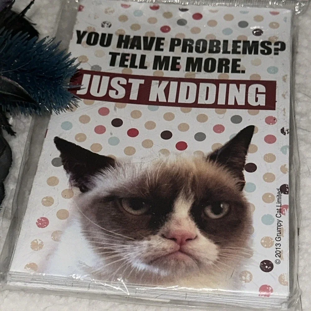 Grumpy Cat Blank Note Cards with Envelopes 8 Count Sarcastic Meme Stationery